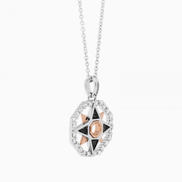 White gold men's necklace, rose wind iconic pendant.