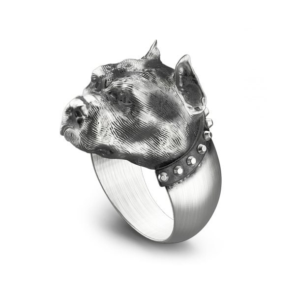 Zancan silver pit bull ring...